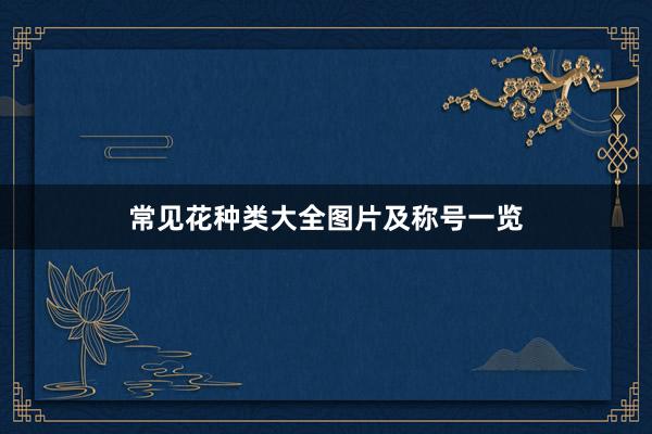 常见花种类大全图片及称号一览