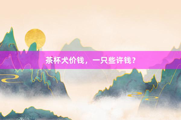 茶杯犬价钱，一只些许钱？