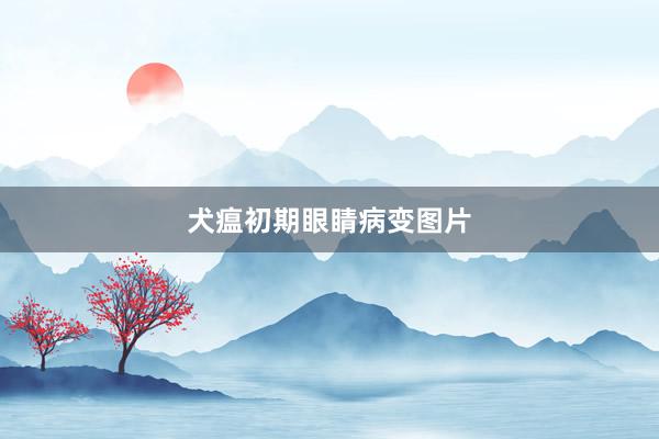 犬瘟初期眼睛病变图片