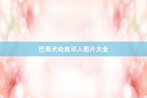 巴哥犬幼崽可人图片大全