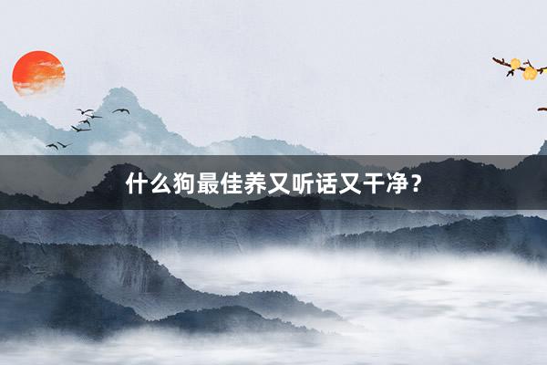 什么狗最佳养又听话又干净？