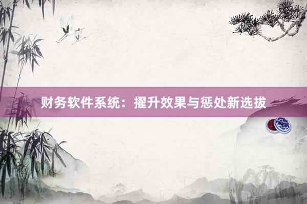财务软件系统：擢升效果与惩处新选拔