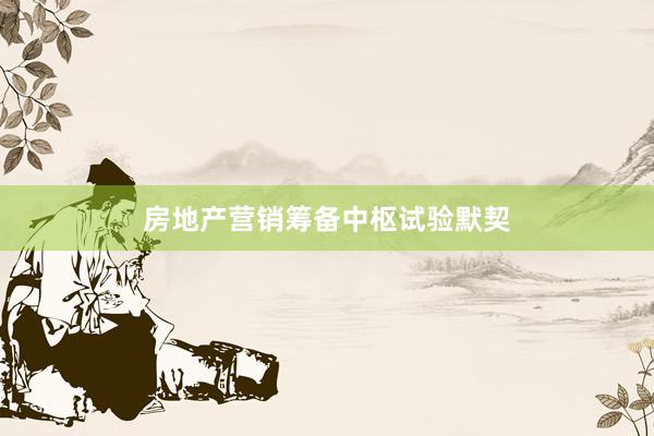 房地产营销筹备中枢试验默契